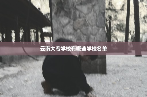 云南大专学校有哪些学校名单