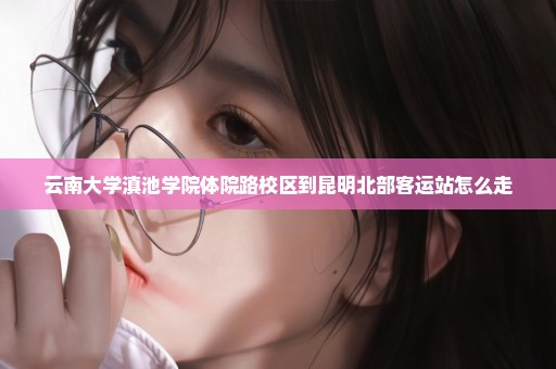 云南大学滇池学院体院路校区到昆明北部客运站怎么走