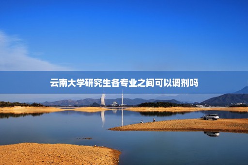 云南大学研究生各专业之间可以调剂吗