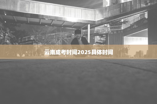 云南成考时间2025具体时间