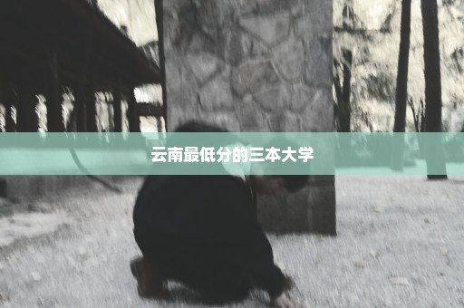 云南最低分的三本大学