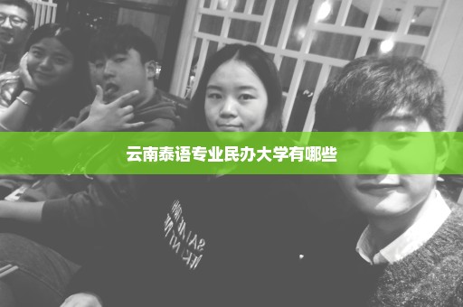 云南泰语专业民办大学有哪些