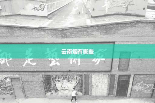 云南烟有哪些