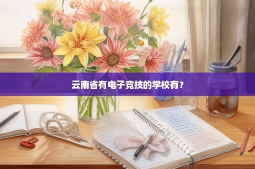 云南省有电子竞技的学校有？
