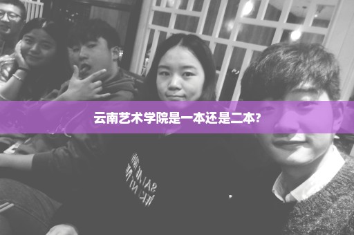 云南艺术学院是一本还是二本?