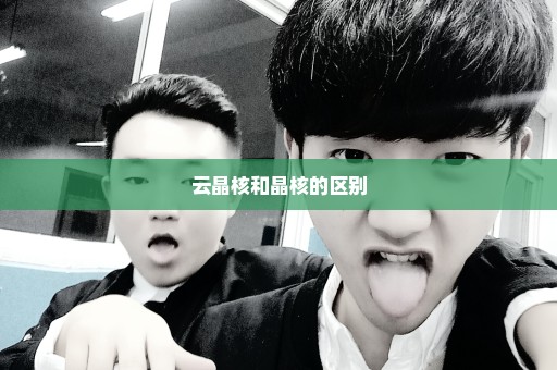 云晶核和晶核的区别