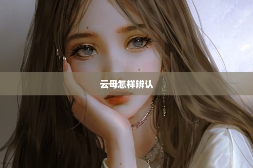 云母怎样辨认