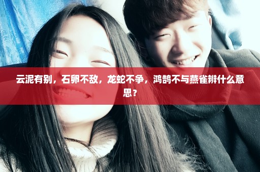 云泥有别，石卵不敌，龙蛇不争，鸿鹄不与燕雀辨什么意思？