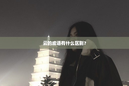 云的成语有什么区别？