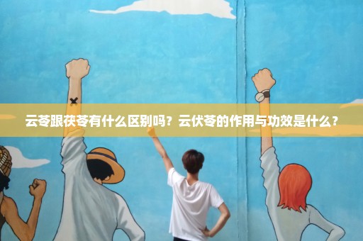 云苓跟茯苓有什么区别吗？云伏苓的作用与功效是什么？