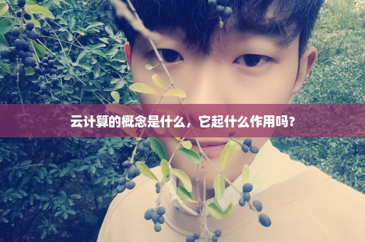 云计算的概念是什么，它起什么作用吗？