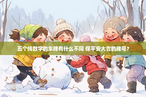 五个纯数字的车牌有什么不同 保平安大吉的牌号？