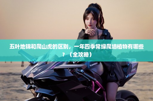 五叶地锦和爬山虎的区别，一年四季常绿爬墙植物有哪些？（全攻略）