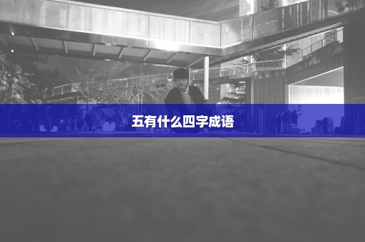 五有什么四字成语