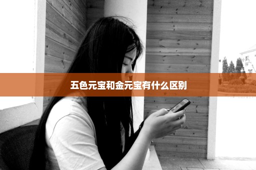 五色元宝和金元宝有什么区别