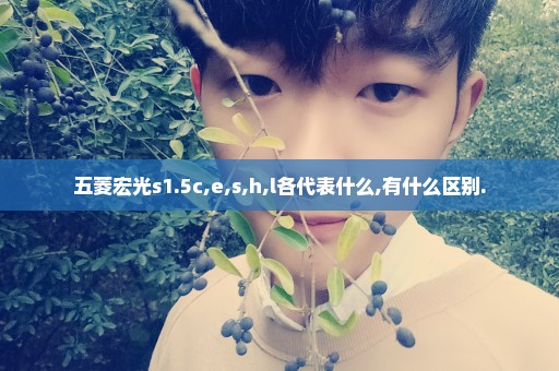 五菱宏光s1.5c,e,s,h,l各代表什么,有什么区别.