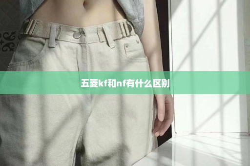 五菱kf和nf有什么区别