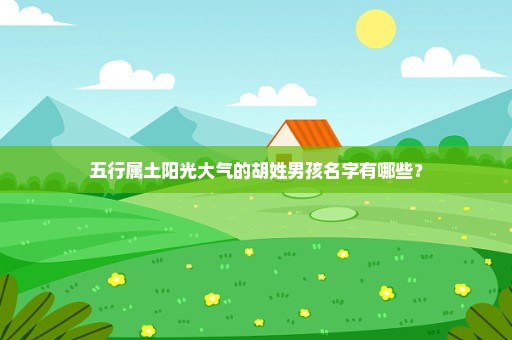 五行属土阳光大气的胡姓男孩名字有哪些？