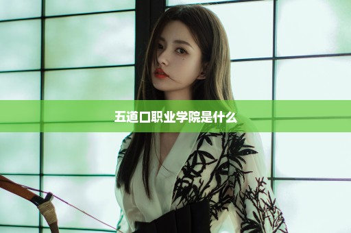 五道口职业学院是什么