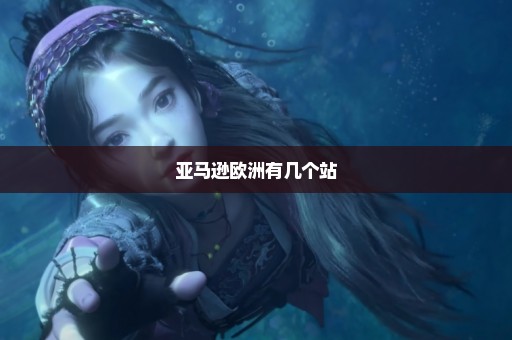 亚马逊欧洲有几个站