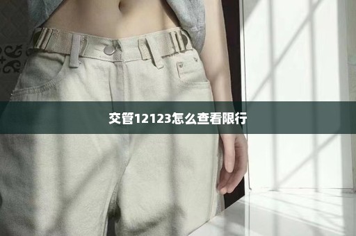 交管12123怎么查看限行