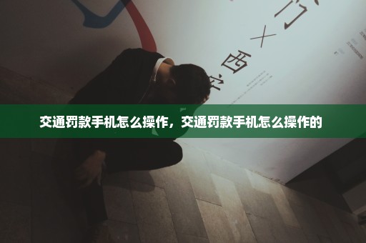 交通罚款手机怎么操作，交通罚款手机怎么操作的 