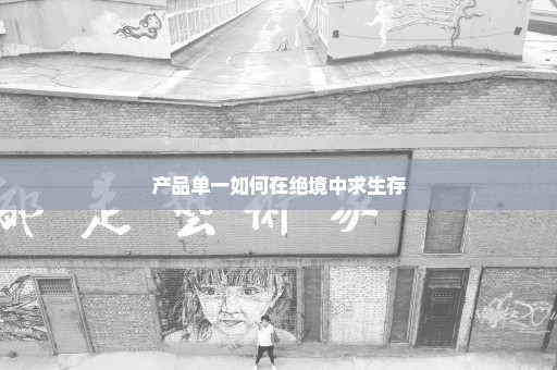 产品单一如何在绝境中求生存