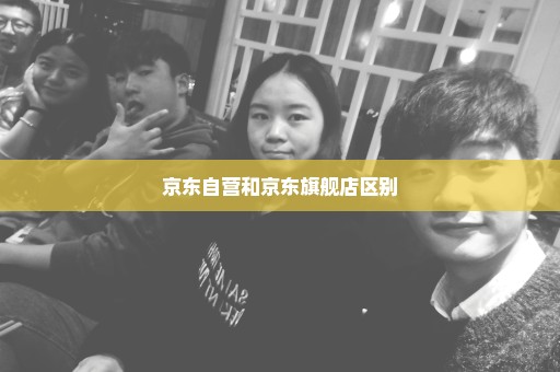 京东自营和京东旗舰店区别