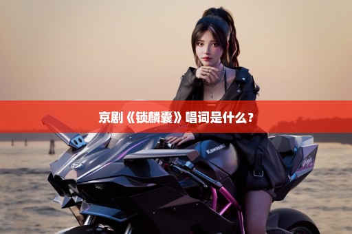 京剧《锁麟囊》唱词是什么？