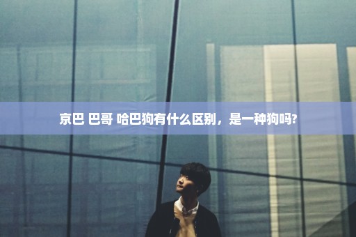 京巴 巴哥 哈巴狗有什么区别，是一种狗吗?