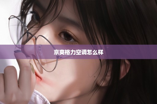 京爽格力空调怎么样