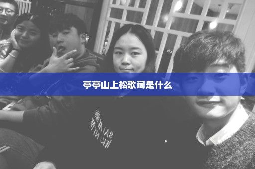 亭亭山上松歌词是什么