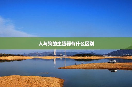 人与狗的生殖器有什么区别