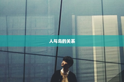 人与鸟的关系