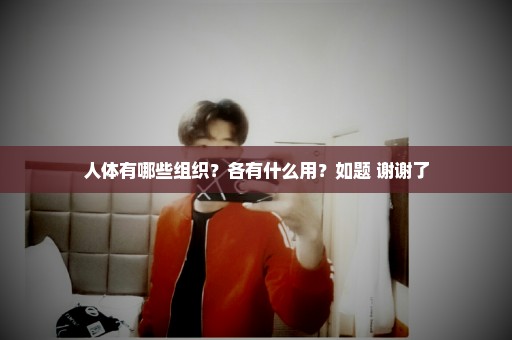 人体有哪些组织？各有什么用？如题 谢谢了