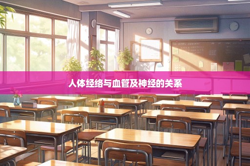 人体经络与血管及神经的关系