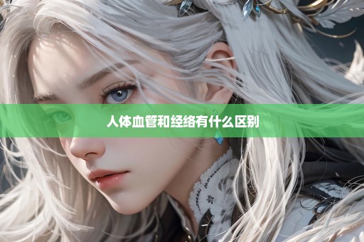 人体血管和经络有什么区别