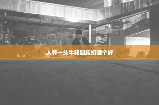 人养一头牛和简纯奶哪个好