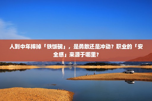 人到中年摔掉「铁饭碗」，是勇敢还是冲动？职业的「安全感」来源于哪里？