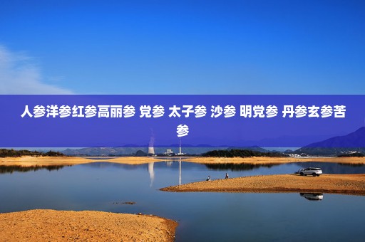 人参洋参红参高丽参 党参 太子参 沙参 明党参 丹参玄参苦参