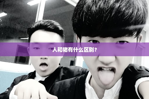 人和猪有什么区别？