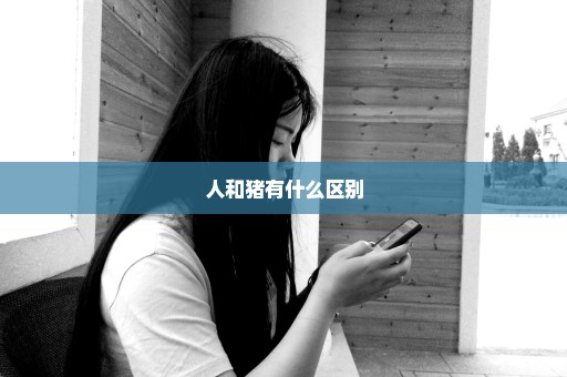 人和猪有什么区别