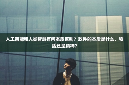 人工智能和人类智慧有何本质区别？软件的本质是什么，物质还是精神？