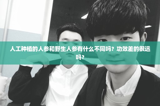 人工种植的人参和野生人参有什么不同吗？功效差的很远吗？
