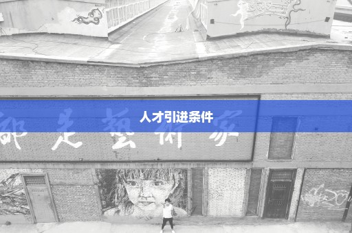 人才引进条件