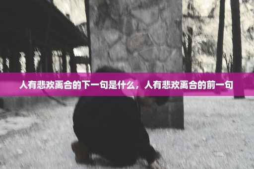 人有悲欢离合的下一句是什么，人有悲欢离合的前一句 