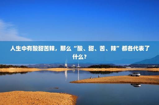 人生中有酸甜苦辣，那么“酸、甜、苦、辣”都各代表了什么？