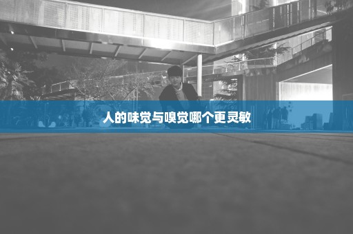 人的味觉与嗅觉哪个更灵敏