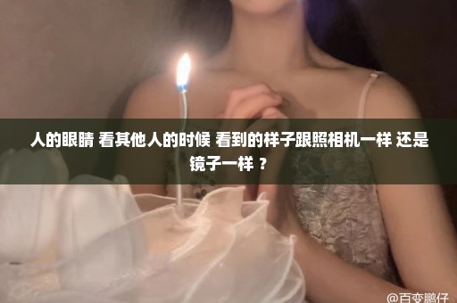 人的眼睛 看其他人的时候 看到的样子跟照相机一样 还是镜子一样 ？