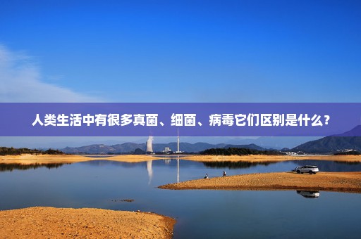 人类生活中有很多真菌、细菌、病毒它们区别是什么？
